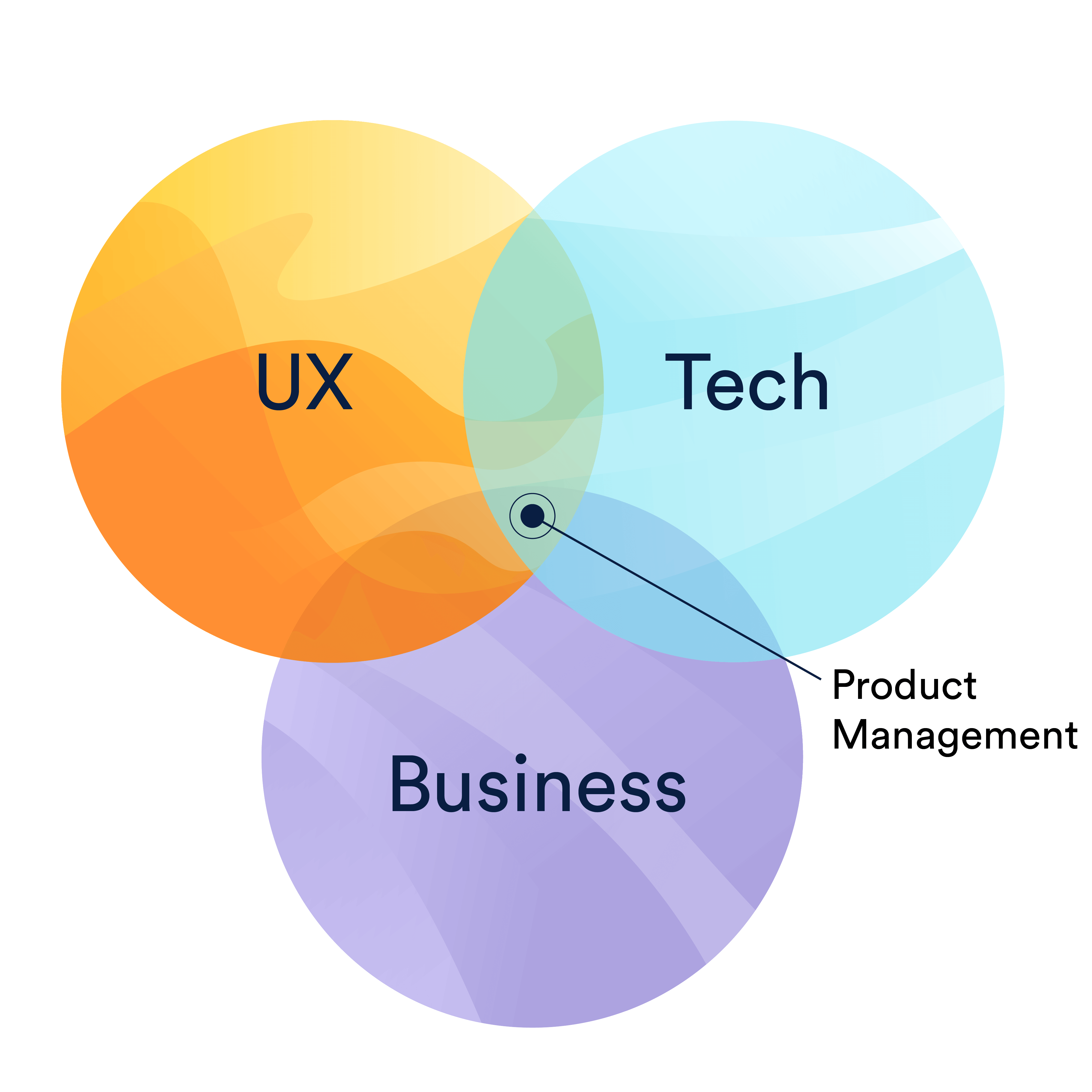 A brief intro to the product manager role