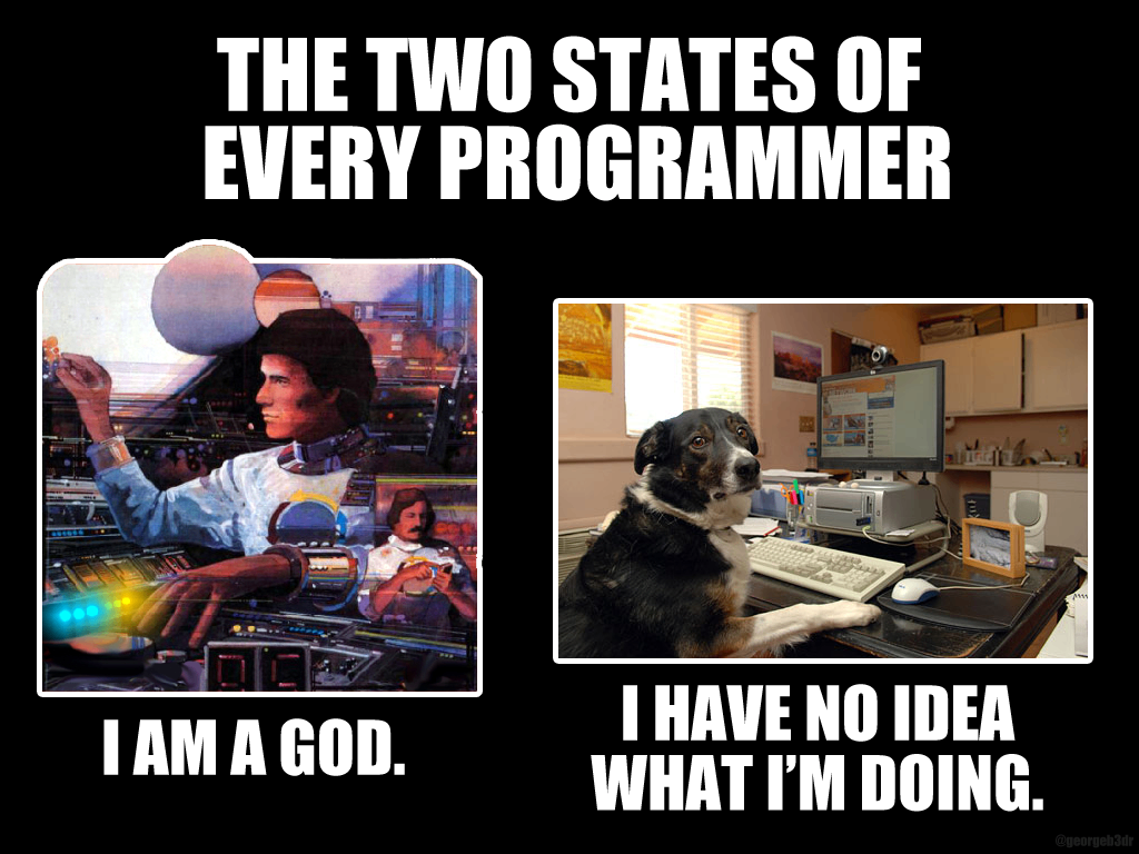 Source: "The two states of every programmer." Source: https://imgur.com/dzbQCj4 