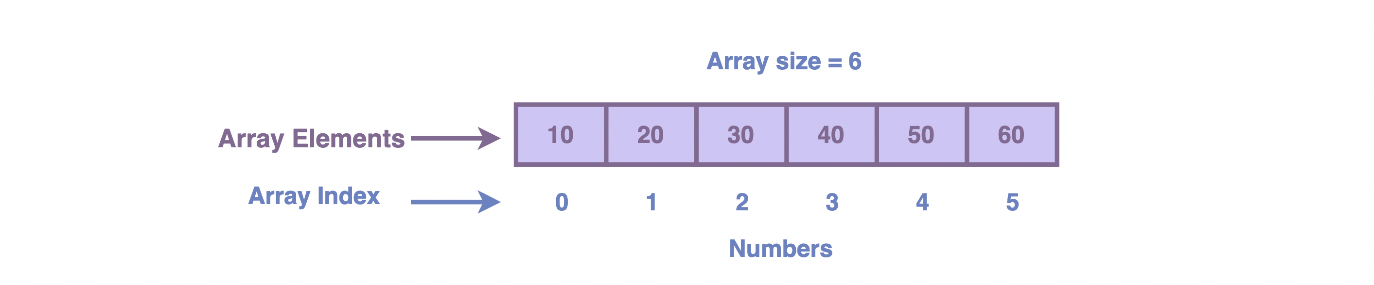 2 sized array