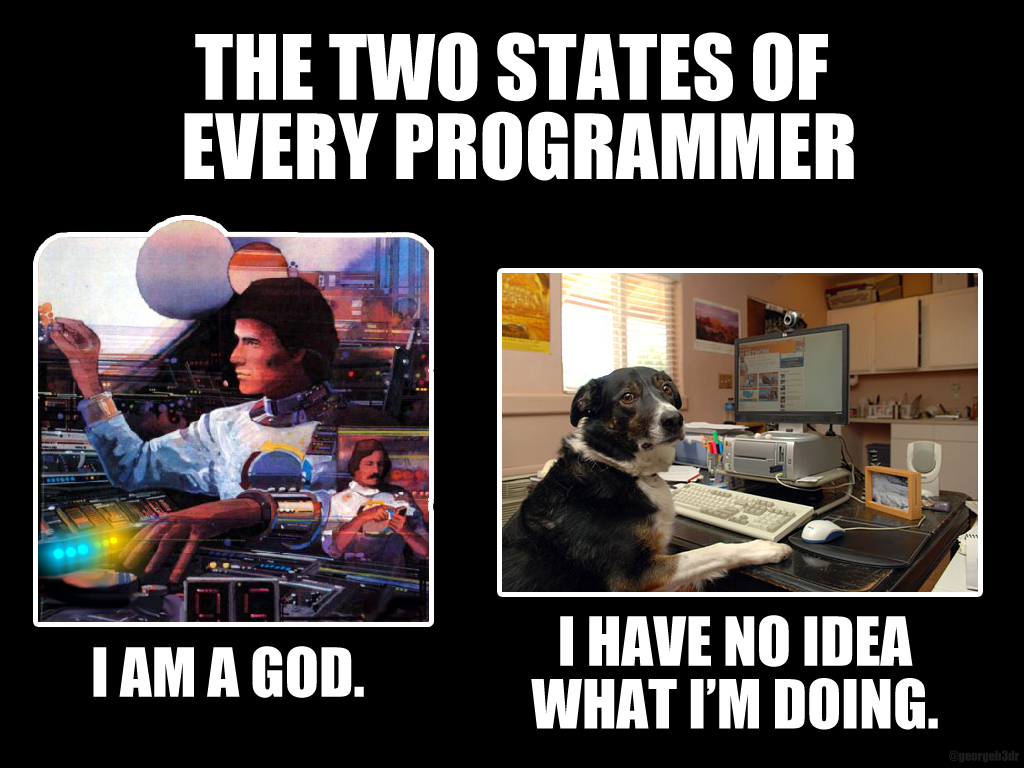 "The two states of every programmer." Source: https://imgur.com/dzbQCj4