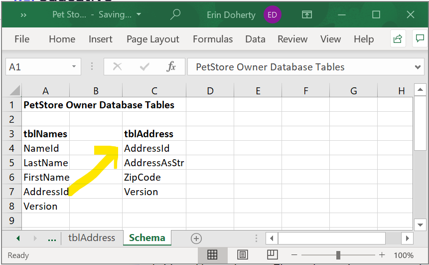 Schema Example in Excel